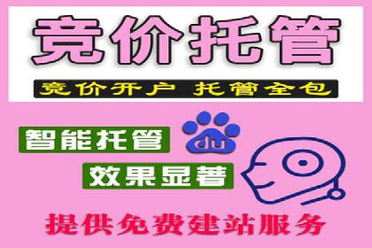 竞价推广公司案例分析：精准投放策略助力企业业绩翻倍